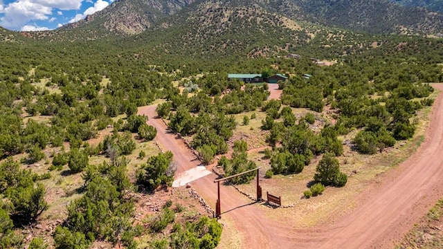 bird's eye view featuring a mountain view