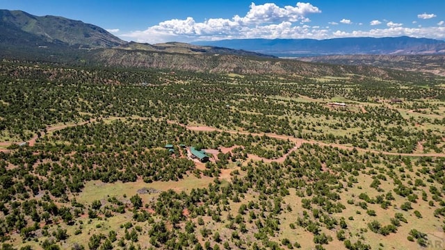 birds eye view of property featuring a mountain view