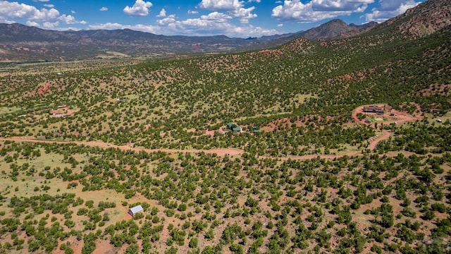 birds eye view of property with a mountain view