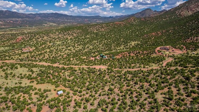 birds eye view of property with a mountain view