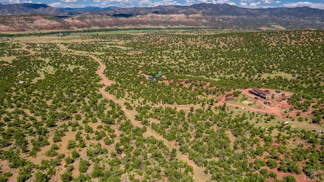 aerial view featuring a mountain view