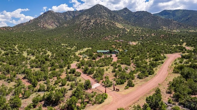 birds eye view of property with a mountain view