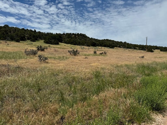 Listing photo 3 for TBD Badger Rd, Walsenburg CO 81089