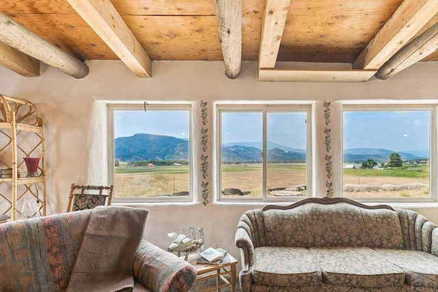 6135 County Road 15, South Fork, CO 81154 - photo 39