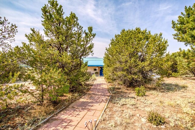 6135 County Road 15, South Fork, CO 81154 - photo 68