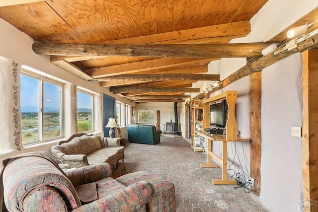 6135 County Road 15, South Fork, CO 81154 - photo 34
