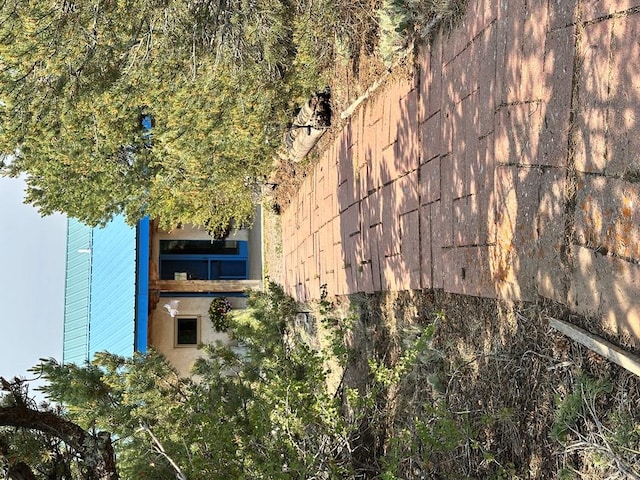 6135 County Road 15, South Fork, CO 81154 - photo 4