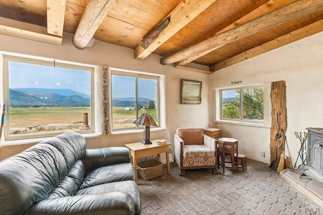 6135 County Road 15, South Fork, CO 81154 - photo 40