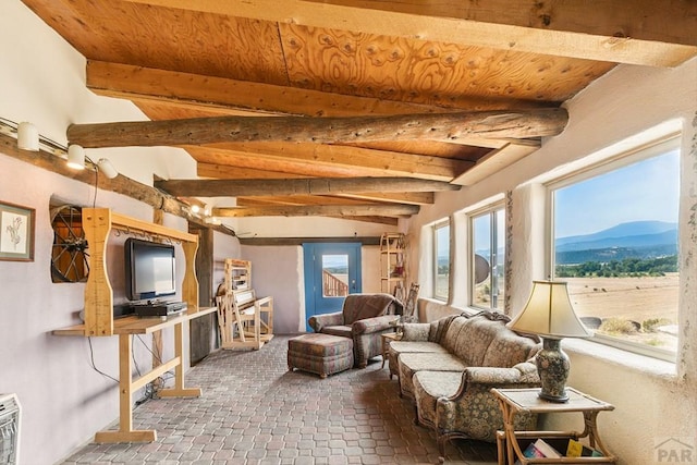 6135 County Road 15, South Fork, CO 81154 - photo 36