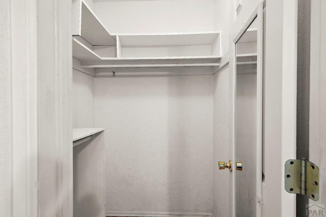 228 S Caddoa Dr, Pueblo West, CO 81007 - view of spacious closet