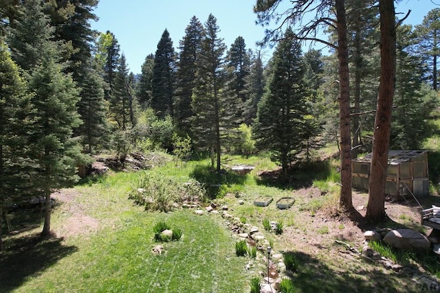 10421 Linger Longer Ln, Rye, CO 81069 - view of woods