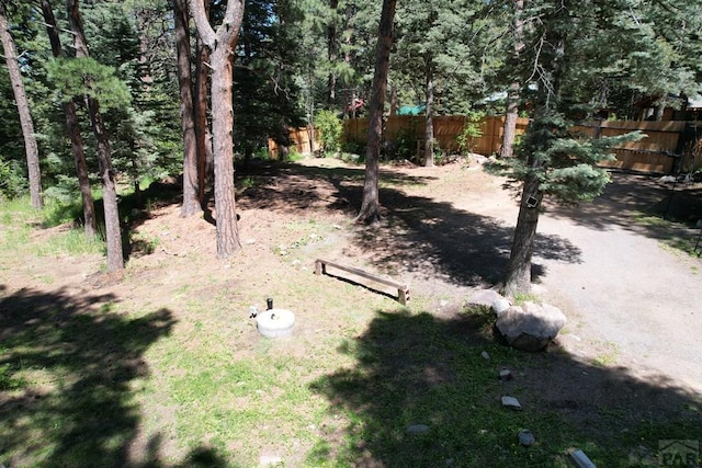10421 Linger Longer Ln, Rye, CO 81069 - view of yard