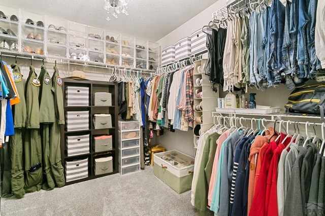 6740 Spruce Hill Ct, Colorado Springs, CO 80923 - walk in closet featuring carpet flooring