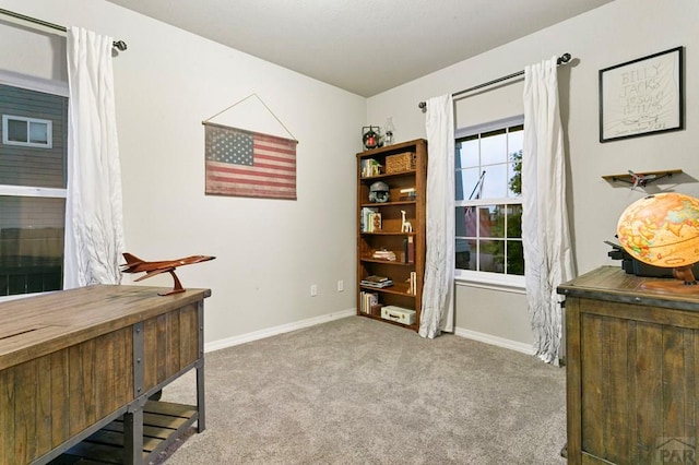 6740 Spruce Hill Ct, Colorado Springs, CO 80923 - office featuring carpet floors and baseboards
