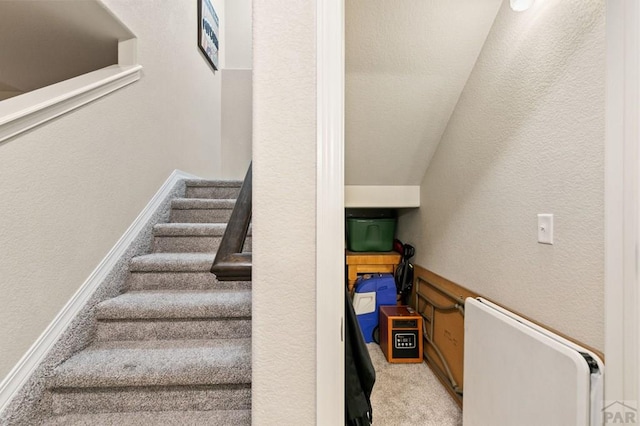 6740 Spruce Hill Ct, Colorado Springs, CO 80923 - staircase with carpet flooring and a textured wall