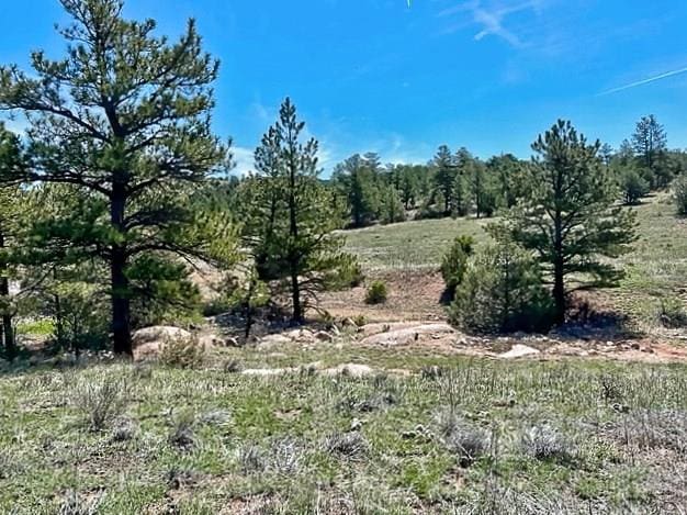 Listing photo 2 for 7080 Copper Gulch Rd, Cotopaxi CO 81223