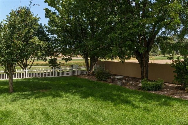 533 W Archer Dr, Pueblo West, CO 81007 - photo 64