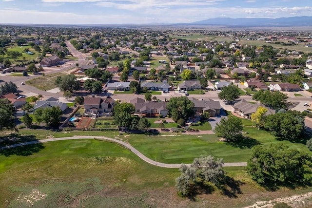 533 W Archer Dr, Pueblo West, CO 81007 - photo 49