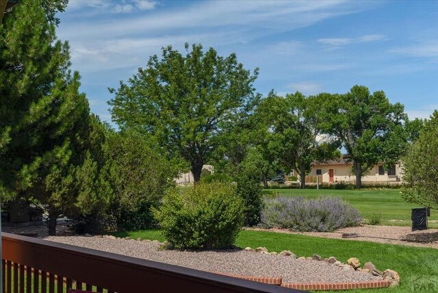 533 W Archer Dr, Pueblo West, CO 81007 - photo 67