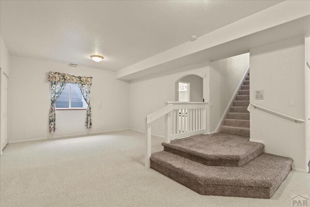 533 W Archer Dr, Pueblo West, CO 81007 - photo 33