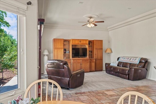 533 W Archer Dr, Pueblo West, CO 81007 - photo 25