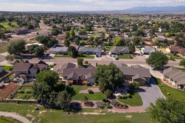 533 W Archer Dr, Pueblo West, CO 81007 - photo 47