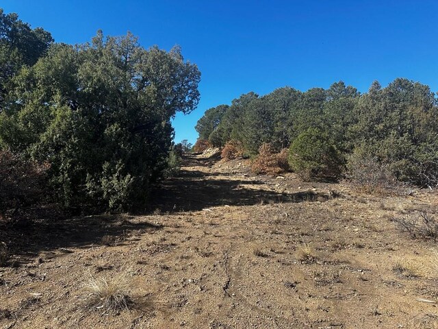 Listing photo 3 for TBD Ponderosa Hills, Trinidad CO 81082