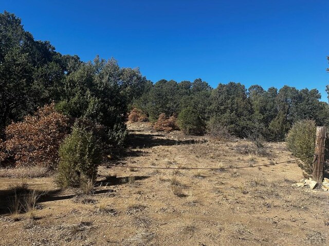 Listing photo 2 for TBD Ponderosa Hills, Trinidad CO 81082