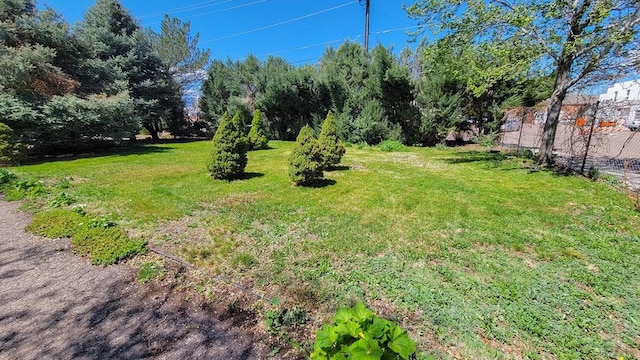 view of green lawn