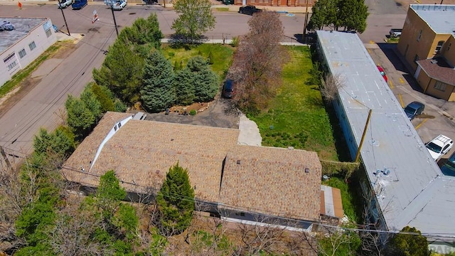 bird's eye view
