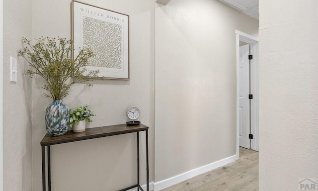 3009 Baystate Ave, Pueblo, CO 81005 - corridor with light wood-type flooring and baseboards