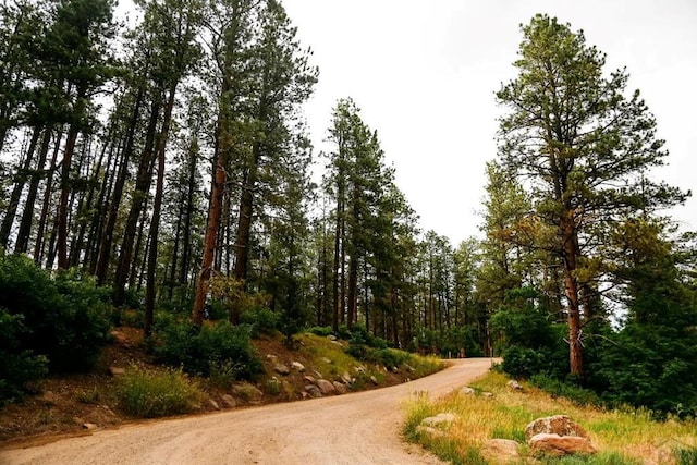 view of road