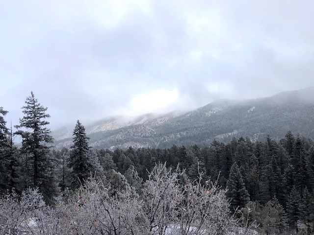 view of mountain feature with a forest view