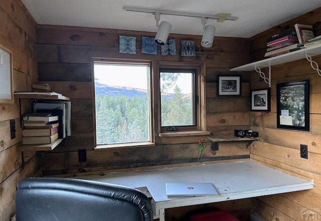 home office featuring wood walls and track lighting