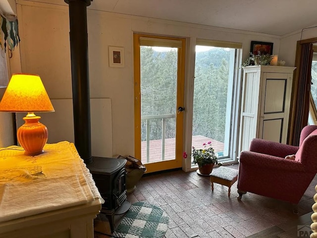 entryway with brick floor, plenty of natural light, and a wood stove