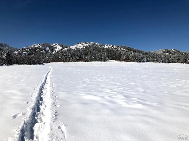 yard covered in snow featuring a mountain view and a wooded view