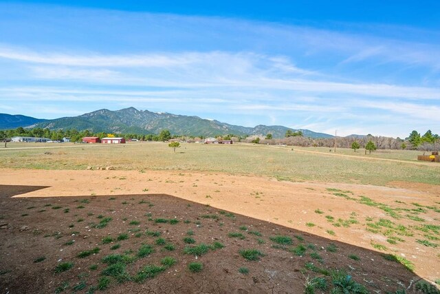 8081 Granger Dr, Rye, CO 81069 - photo 4