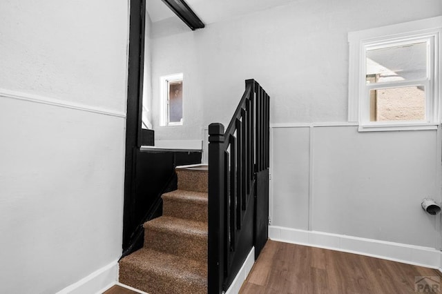 stairs featuring wood finished floors, wainscoting, and plenty of natural light