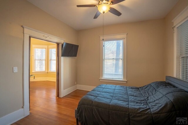 bedroom with multiple windows, light wood-type flooring, a ceiling fan, and baseboards