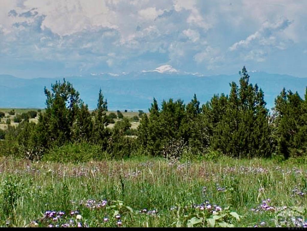 2200 Pope Valley Ranch Rd, Beulah, CO 81023 - photo 1
