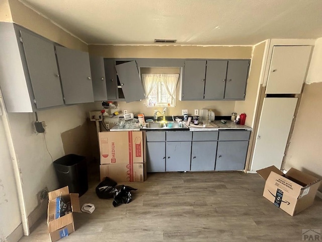 kitchen featuring gray cabinets, a sink, and light wood-type flooring