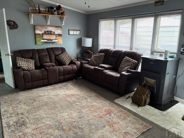 1665 Genes St, Pueblo, CO 81006 - photo 4