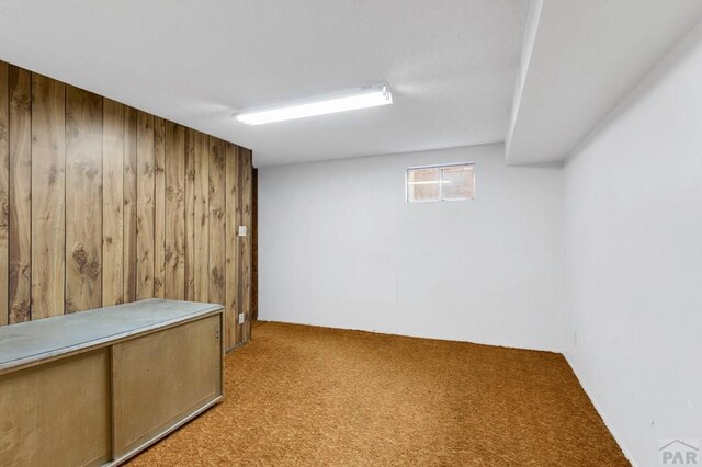 below grade area with light colored carpet and wood walls