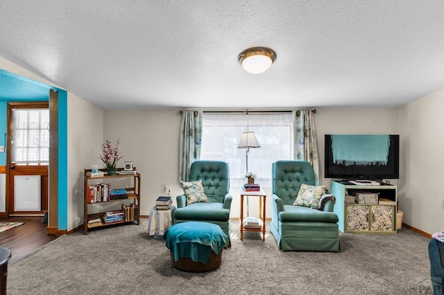 965 Kelly Ave, Rockvale, CO 81244 - photo 19
