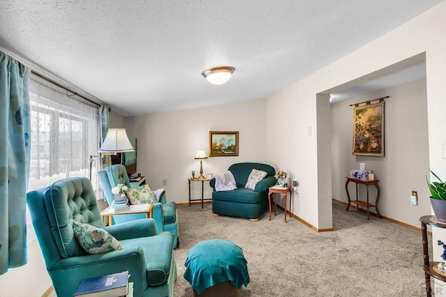 965 Kelly Ave, Rockvale, CO 81244 - photo 22