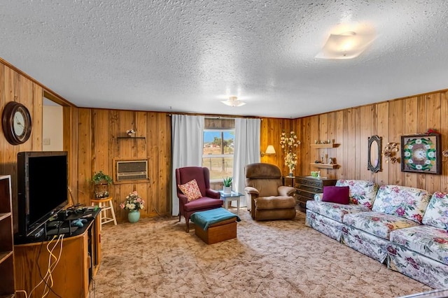 965 Kelly Ave, Rockvale, CO 81244 - photo 10