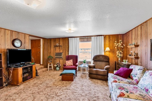 965 Kelly Ave, Rockvale, CO 81244 - photo 9