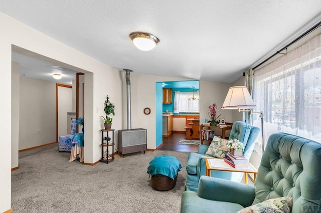 965 Kelly Ave, Rockvale, CO 81244 - photo 21
