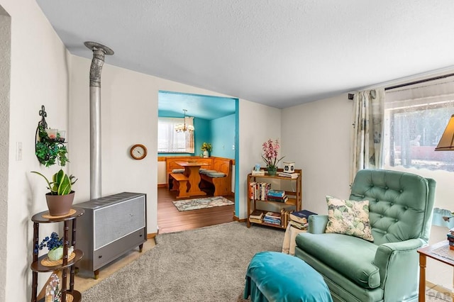 965 Kelly Ave, Rockvale, CO 81244 - photo 20