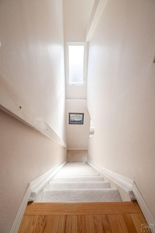 stairway featuring carpet floors and baseboards